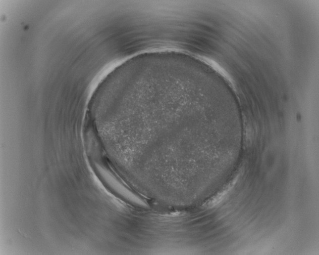 X0000070410943200606302033