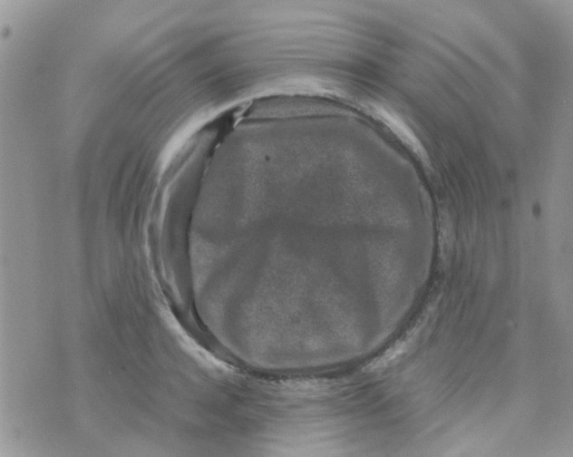 X0000070410944200606302033