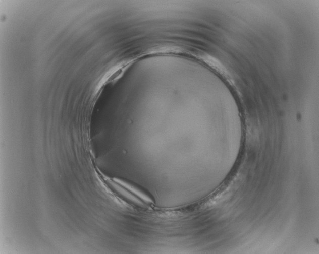 X0000070410945200606302033