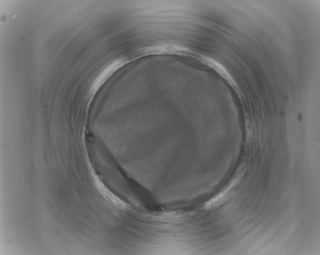 X0000070410946200606302033