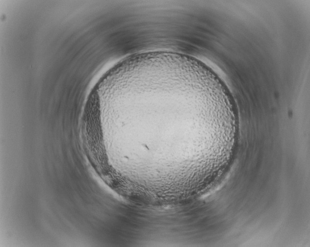 X0000070410949200606302033