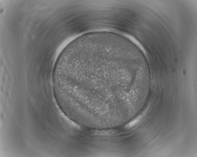 X0000070410951200606302033