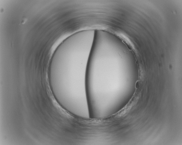 X0000070410952200606302033