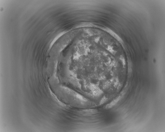 X0000070410953200606302033