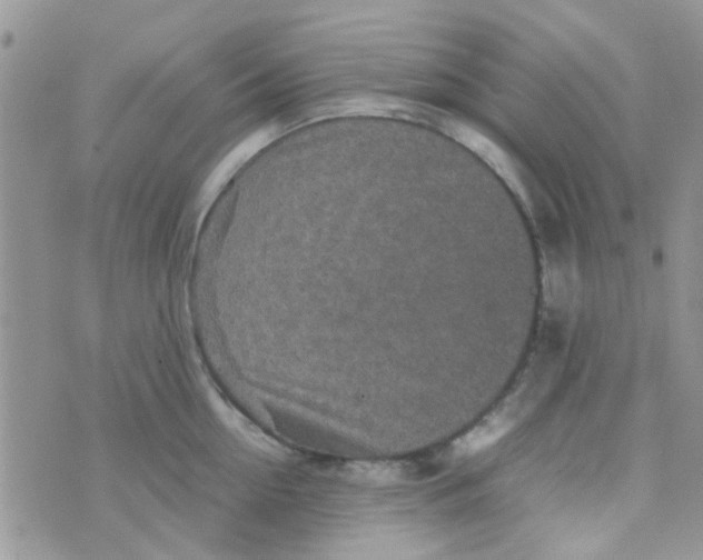 X0000070410954200606302033