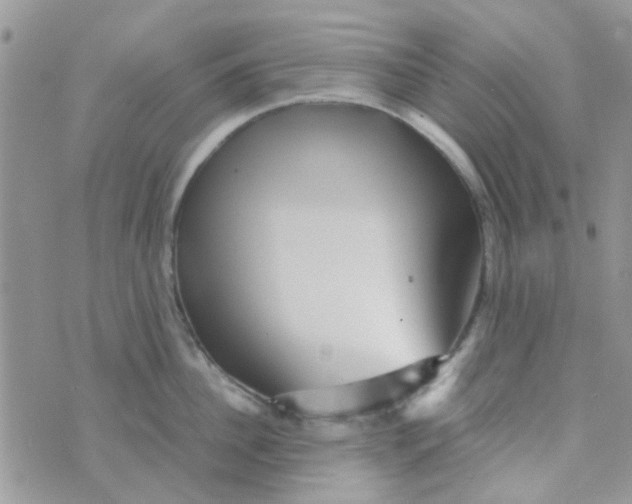 X0000070410956200606302033