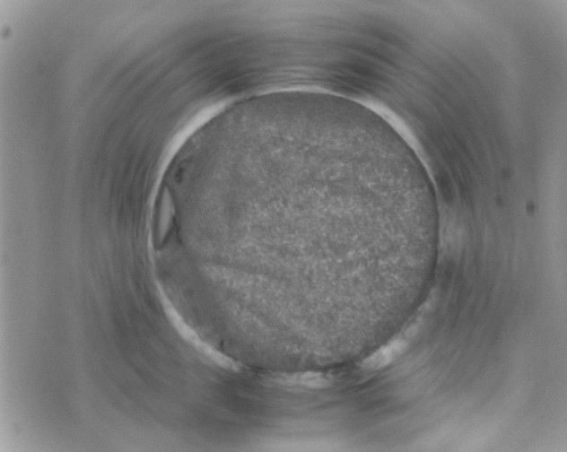 X0000070410957200606302033