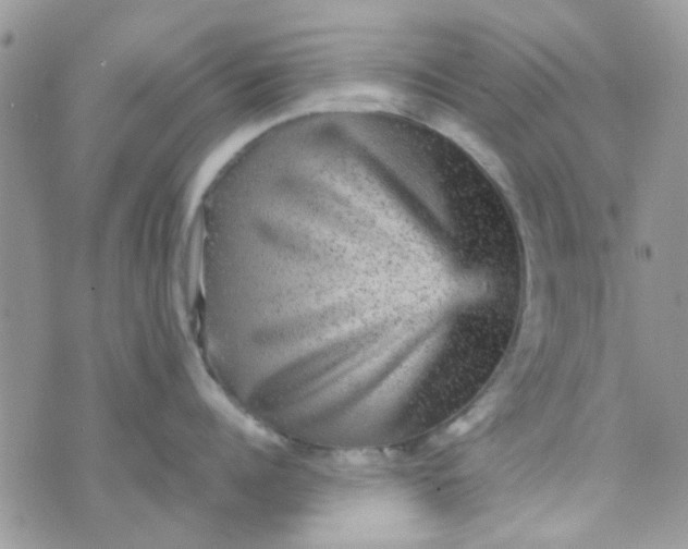 X0000070410960200606302033