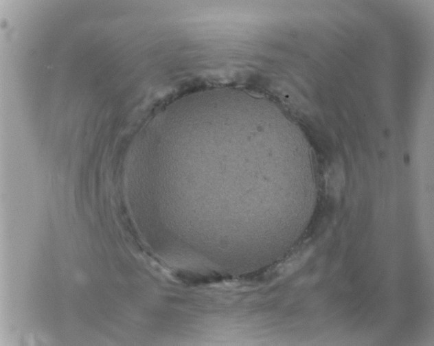 X0000070410961200606302032