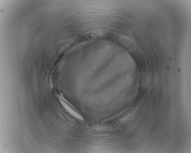 X0000070410962200606302032