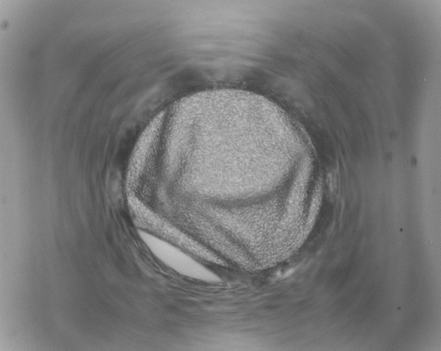 X0000070410963200606302032