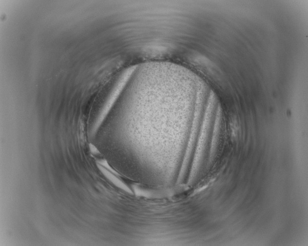 X0000070410964200606302032