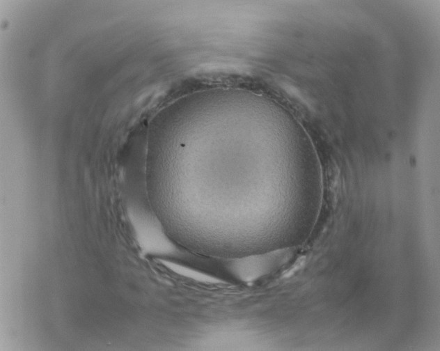 X0000070410965200606302032