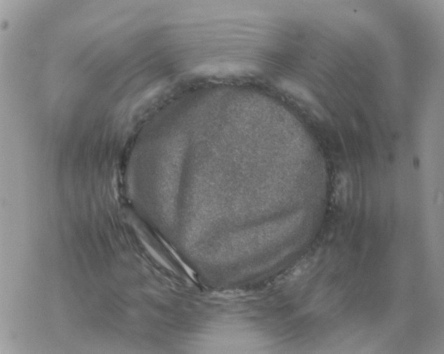 X0000070410966200606302032