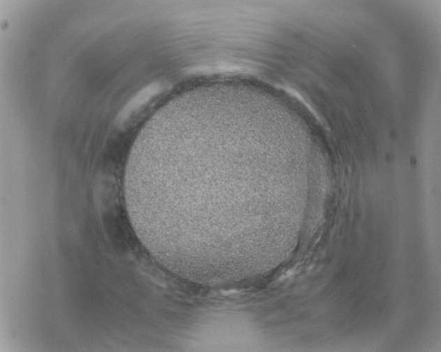 X0000070410967200606302032