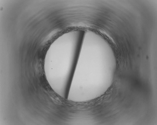 X0000070410968200606302032