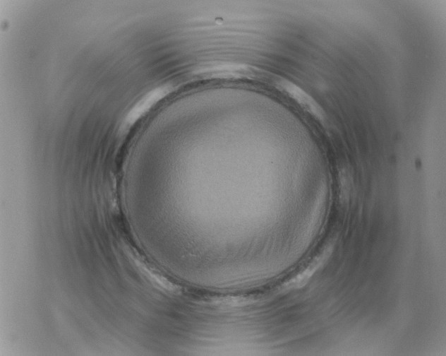 X0000070410970200606302032