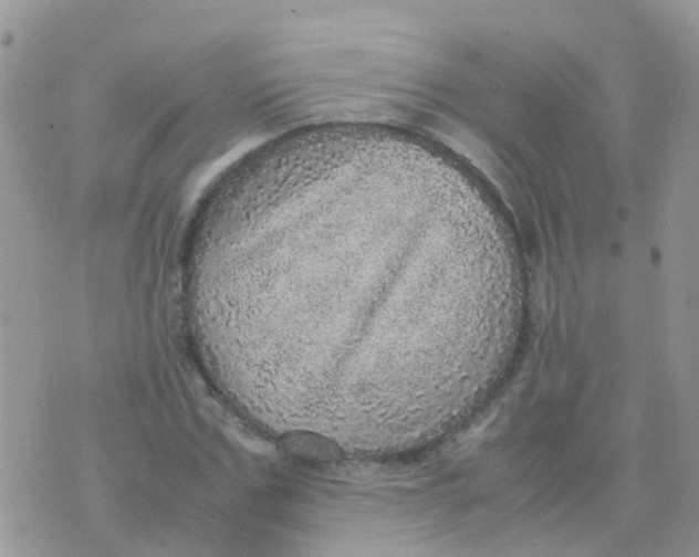 X0000070410971200606302032