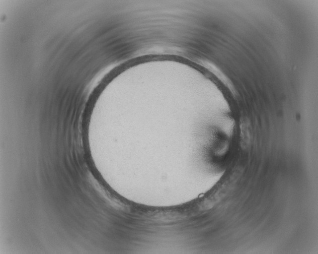 X0000070410972200606302032