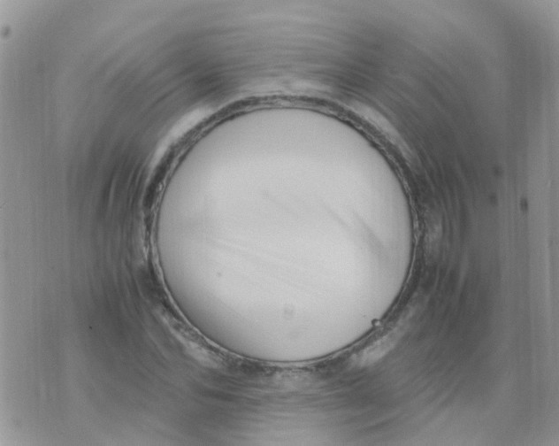 X0000070410974200606302032