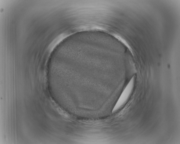 X0000070410975200606302032