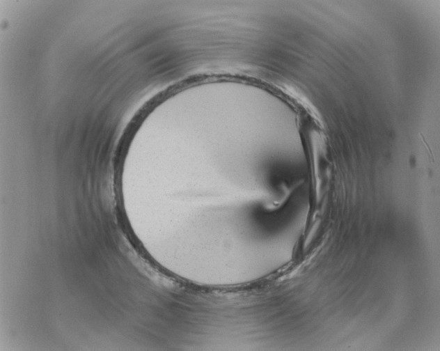 X0000070410976200606302032