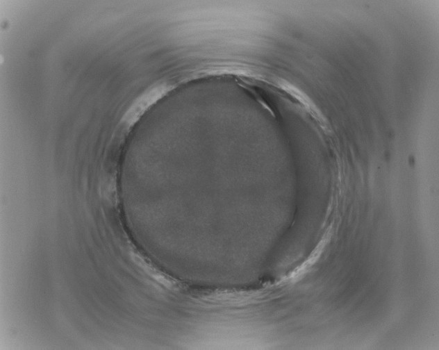 X0000070410977200606302032