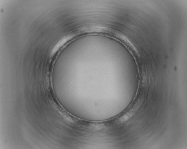 X0000070410978200606302032