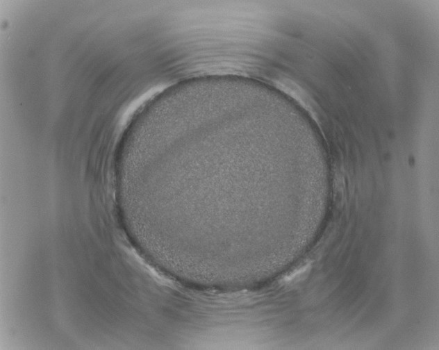 X0000070410979200606302032