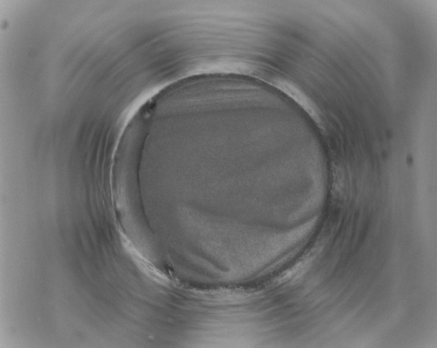 X0000070410980200606302032