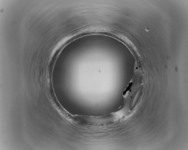 X0000070410981200606302032