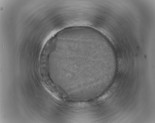 X0000070410982200606302032