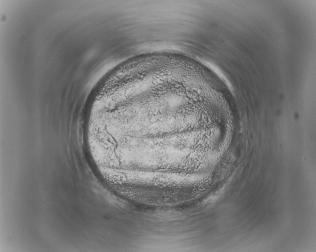 X0000070410983200606302032