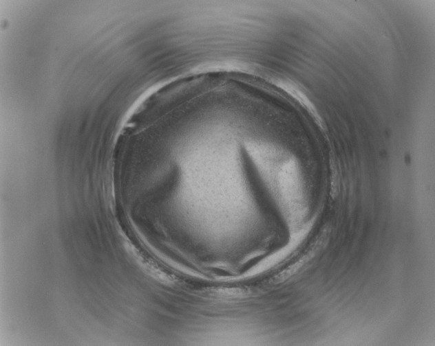 X0000070410984200606302032