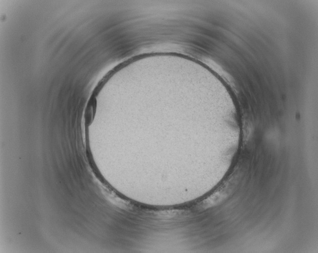 X0000070410988200606302032