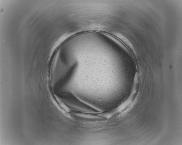 X0000070410989200606302032