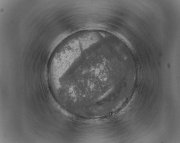 X0000070410990200606302032