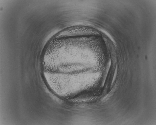 X0000070410991200606302032