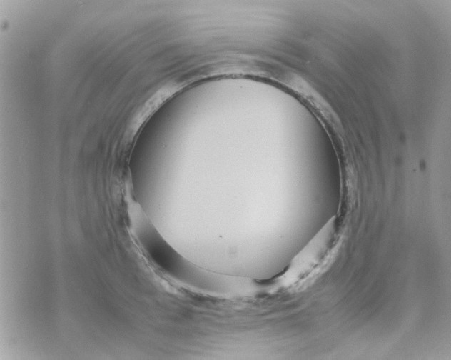 X0000070410993200606302032