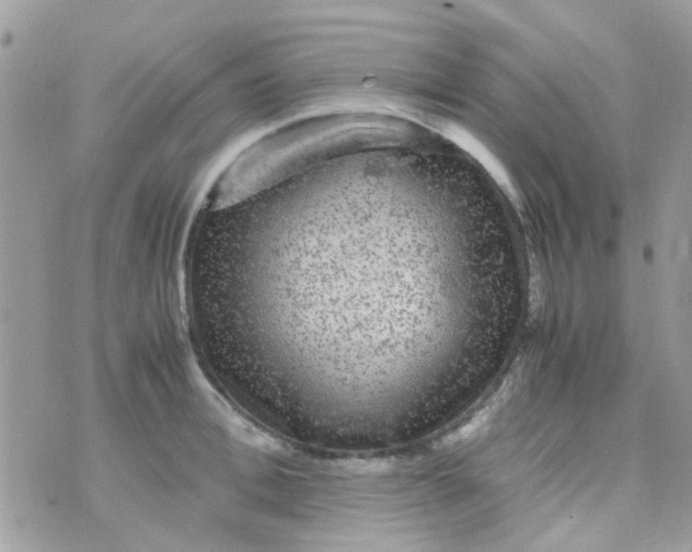 X0000070410996200606302032