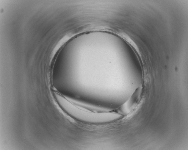 X0000070410997200606302032