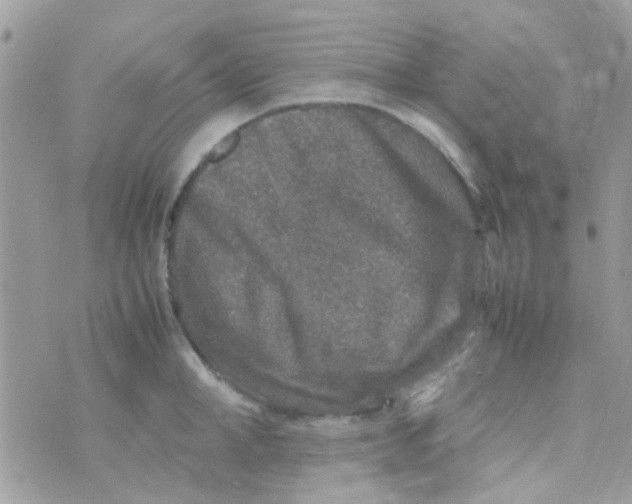 X0000070410998200606302032