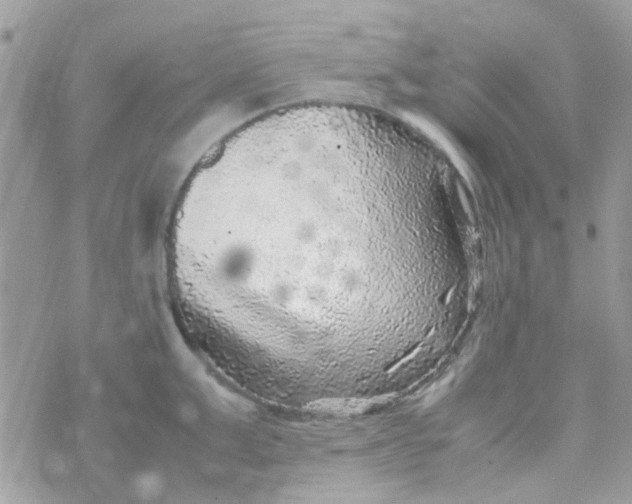 X0000070410999200606302032