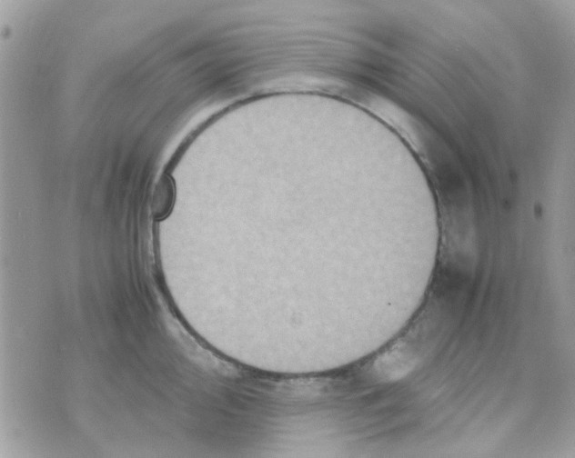 X0000070411000200606302032