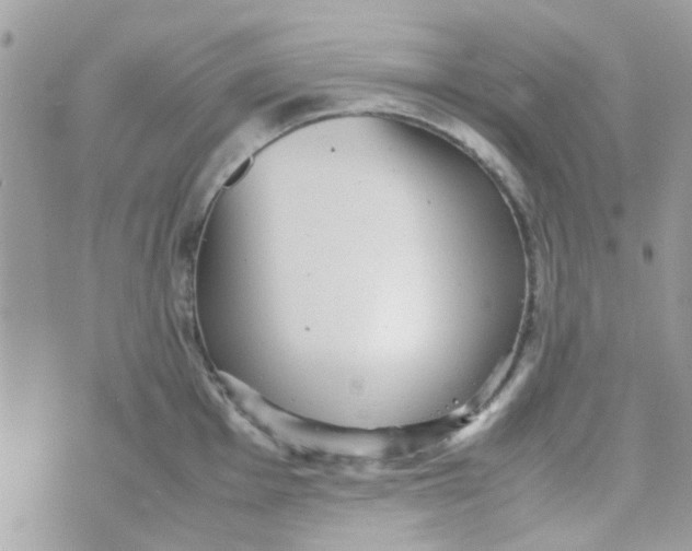 X0000070411001200606302031