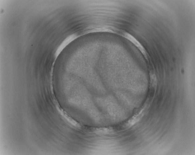 X0000070411002200606302031