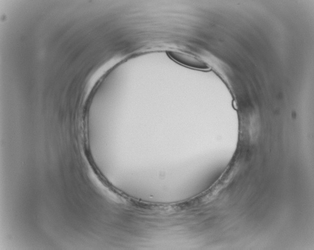 X0000070411003200606302031