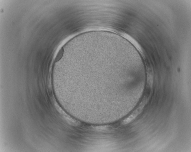 X0000070411004200606302031