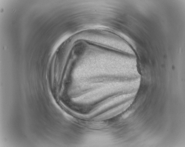 X0000070411007200606302031