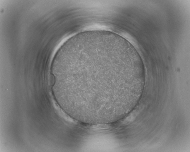 X0000070411008200606302031